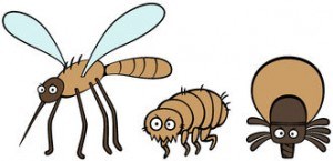 parasites mosquito flea tick cartoon illustration human dog 33714521 300x145