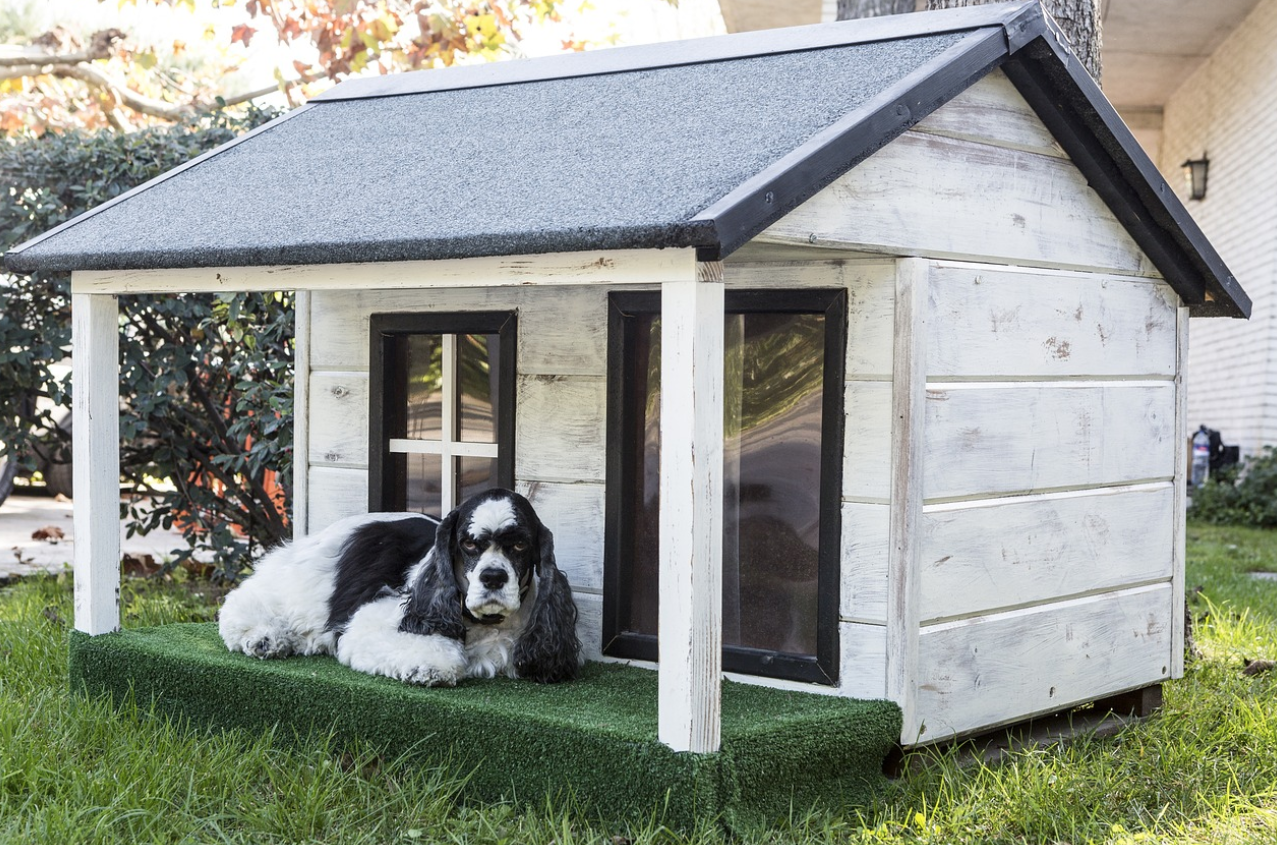  Casa para perros al aire libre, casa aislada para